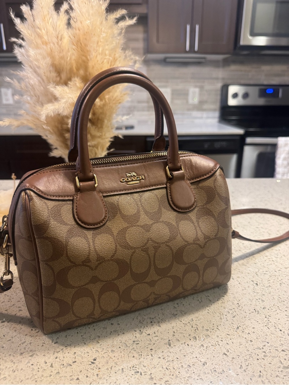 Coach Brown Signature Dome Satchel with Leather Trim